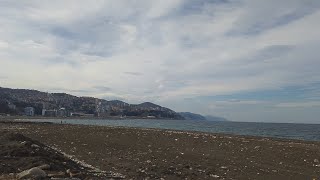 Karanfil (Sıla) Resimi