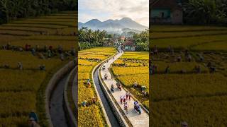 POV: You Wake Up in a Peaceful Indonesian Village #shorts
