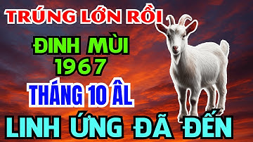 THÁNG 10 ÂM LỊCH Đinh Mùi 1967: Biết Trước 7 Điều Này, Vận Xui Lui Hết Tiền Tài Kéo Về Liên Tục !