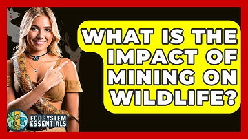 What Is The Impact Of Mining On Wildlife? - Ecosystem Essentials