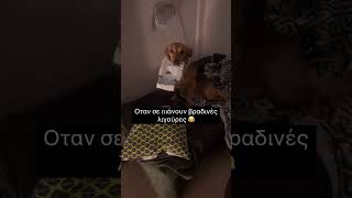 Οταν σε πιάνουν βραδινές λιγούρες 😂 #κατοικιδια