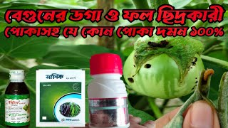 বেগুনের ডগা ও ফল ছিদ্রকারী পোকাসহ যে কোন পোকা দমন হবে ১০০% এই কীটনাশক ব্যবহার করলে | বেগুনের পোকা।