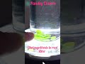 You can see photosynthesis in real time #science #chemistry #experiment #youtube#shorts #viralshort