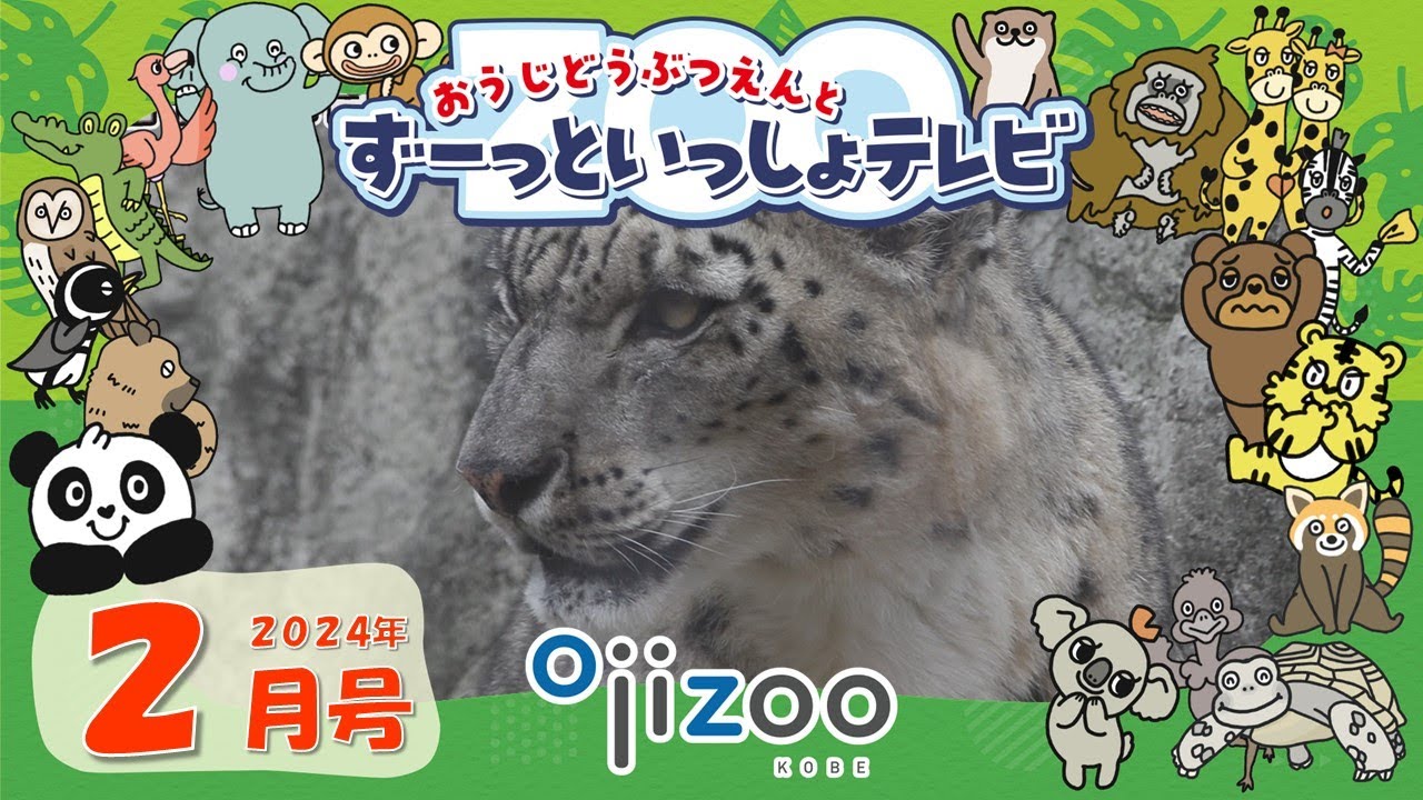 ＃１１　おうじどうぶつえんとずーっといっしょテレビ（2024年2月放送）