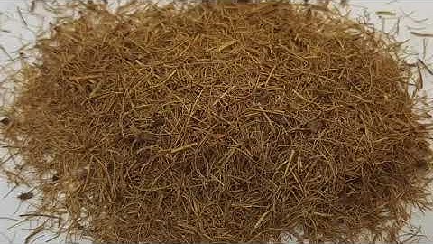 Development of PHA fiber based composites with antimicrobial performance for active food packaging a