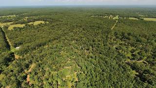 Land For Sale Bordering Mark Twain National Forest | 000 County Road 127, Alton, Missouri