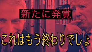 警察官ゆりのアメリカ生活の配信のサムネイル画像