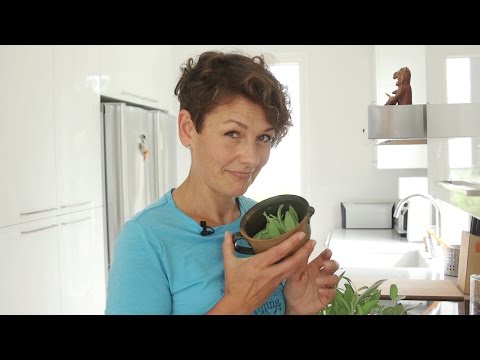 Video: Salvia - milloin istuttaa ja miten hoitaa