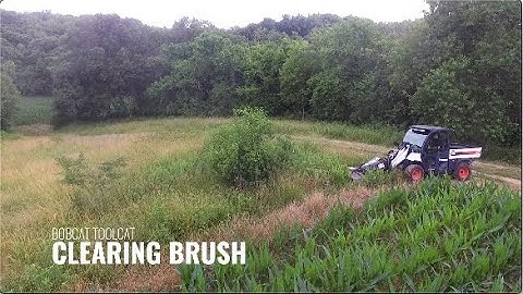 Bobcat Toolcat - Clearing Brush