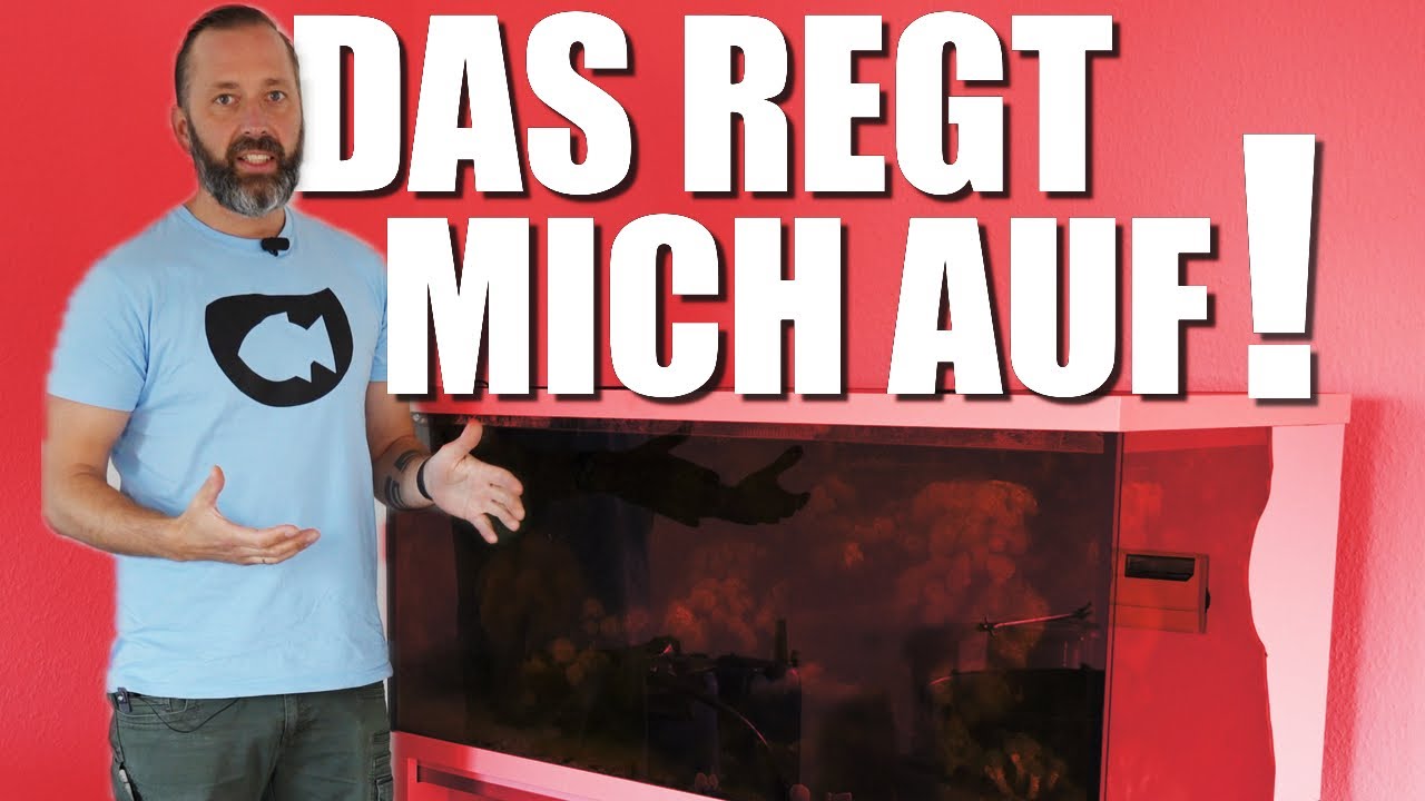 Wie man ein Meerwasseraquarium NICHT betreiben sollte!