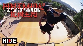 Animal Chin 30 Years - The Chin Sessions 4/4
