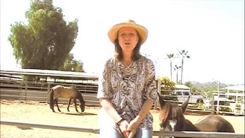 Team-Building TV: How to Build a Collaborative Team