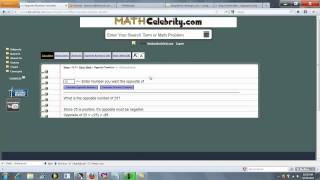 Opposite Numbers Calculator