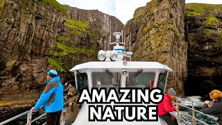 Sailing to Vestmanna Bird Cliffs | Faroe Islands - Episode 5