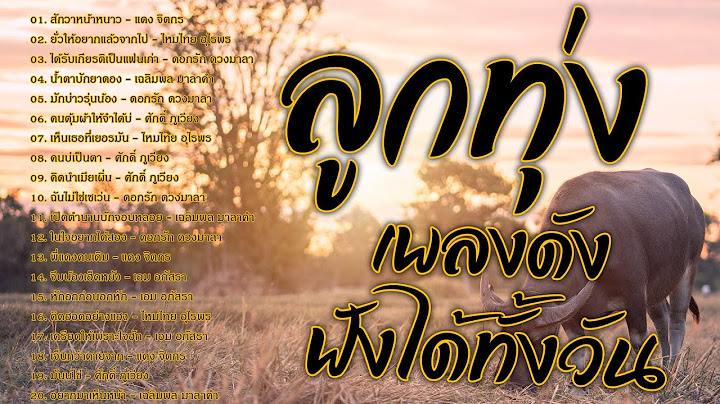 ลูกทุ่งเพลงดัง ฟังได้ทั้งวัน
