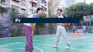 Bone mechano-response is driven by locomotion transitions during vertebrate evolution