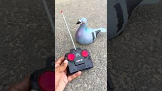 New Paro Remote Control  Rc Bird