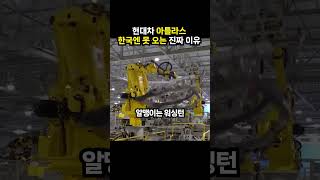 현대차 아틀라스 한국엔 못 오는 진짜 이유 (이슈딸깍)