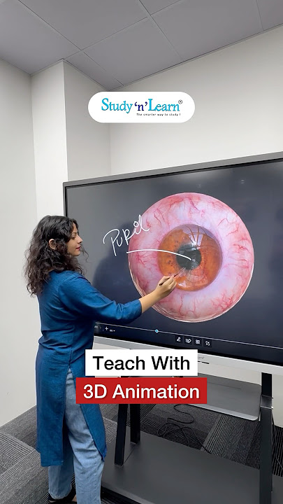 Digital Board With 3D Animation - Human Eye 3D Animation On Smart Board For Teaching In Classroom