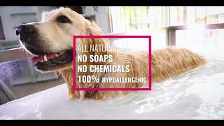 micro bubble bath for dogs