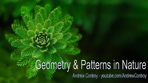 Patterns in Nature - Symmetry, Fractals & Geometry!