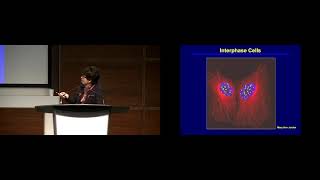 Susan Horwitz - Canada Gairdner Laureate Lecture Profile