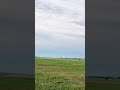 Landing Boeing 737 #aircraft #sky #sunshine #landing #shortsyoutube #shorts #subscribetomychannel
