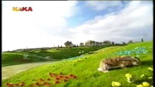 Teletubbies - Tanzen Vor Dem Erdhaus