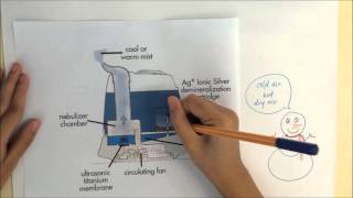 EKC 316 - Separation Process: Group 5 -  Humidification