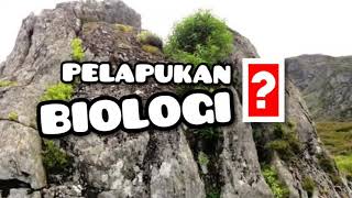 Pelapukan Biologis / Pelapukan Organik