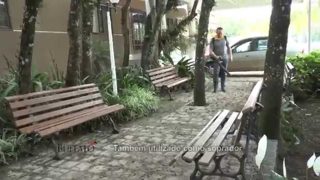 Os vermes e como os pegará