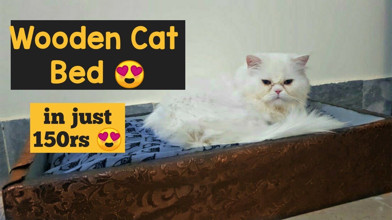DIY Cat Bed How to make wooden Cat bed tutorial lovely crafts for