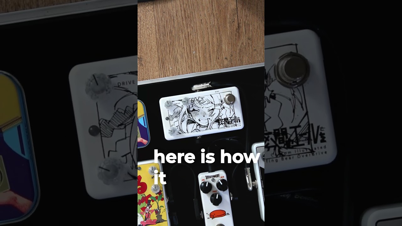 The MANGA Pedal | Animals Pedal Surfing Bear Overdrive demo