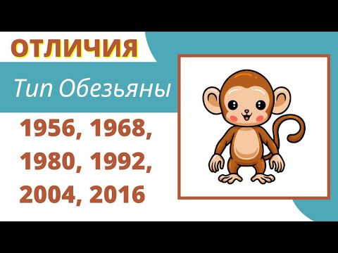 К какому типу / году Обезьяны Вы относитесь?  Характеристика по китайскому гороскопу.