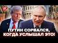 😮Вы прозреете, какой ПУНКТ ПЛАНА Путина РАЗОЗЛИЛ! Трамп НЕ ОЖИДАЛ ТАКОЙ РЕАКЦИИ. В Кремле КИПИШ