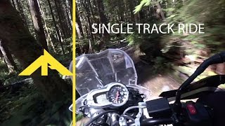 Tiger 800xc on Single Track Trails