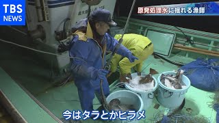 原発処理水　揺れる漁師【報道特集】