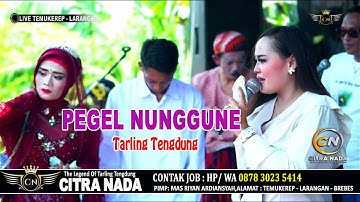 PEGEL NUNGGUNE Tengdung ~ IKA BONITA // CITRA NADA LIVE DESA TEMUKEREP // LARANGAN - BREBES