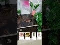 home decore finds#meeshoapp #meesho #homedecor #shorts #shortvideo #youtubeshorts#trending