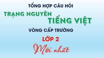 TRẠNG NGUYÊN TIẾNG VIỆT - LỚP 2 - VÒNG CẤP TRƯỜNG - 2 ĐỀ ÔN ĐẶC BIỆT