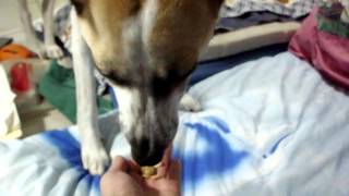 20101103-6.AVI