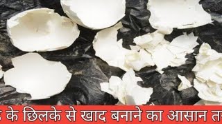Eggs Ko Kaisa Use Kare Apna Plant Ma/Eggs Ka Undar More Calcium