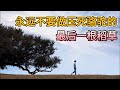 永远不要做压死骆驼的最后一根稻草 永远不要做压死骆驼的最后一根稻草