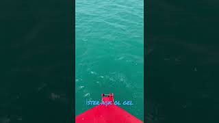 Erdem Köylüoğlu - Kalbimden Aşk