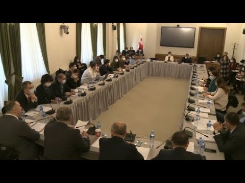 რატომ აუქმებს „ოცნება“ სახელმწიფო ინსპექტორის სამსახურს- ხმაურიანი კომიტეტის სხდომა