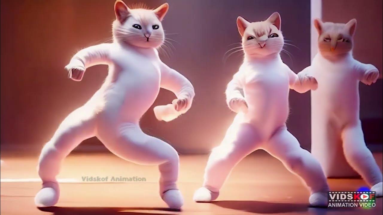 🐱Kitty Cat Dance Meow Cat Dancing Kitty Cat Song YouTube