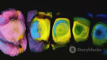 Color Fusion: Creating New Shades@Palette harmony the artist view  #color selection #color theory