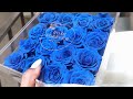 ASMR Soft Whisper Review 💙  Passion Crystal Royal Blue Preserved Roses