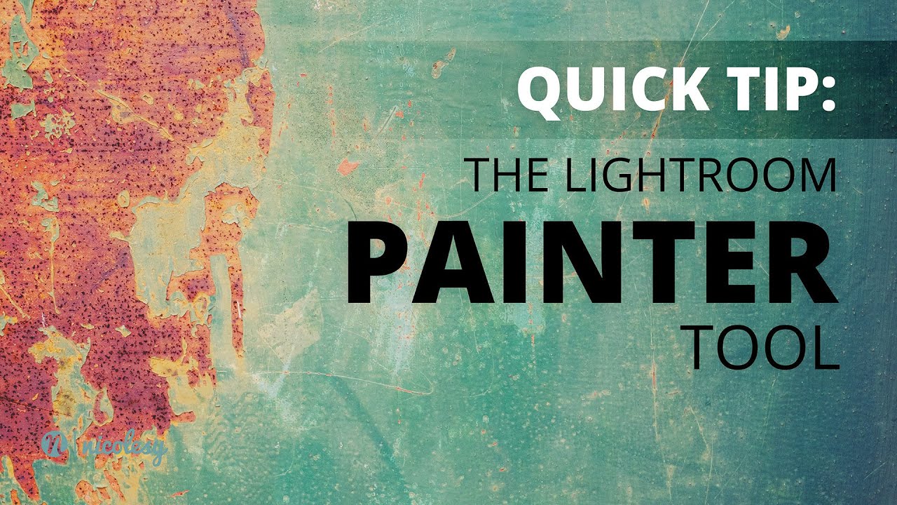 The Lightroom Painter tool YouTube