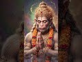 Mangal murti maruti nandan 🌺🌺🌺 #rambhkt #maishreehanumanbhakt #shortsfeed #hanumanbhajans